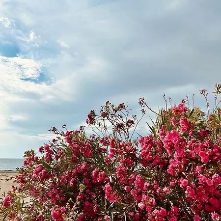 Marina's Seacret Corinth