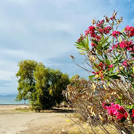 Marina's Seacret * Corinth