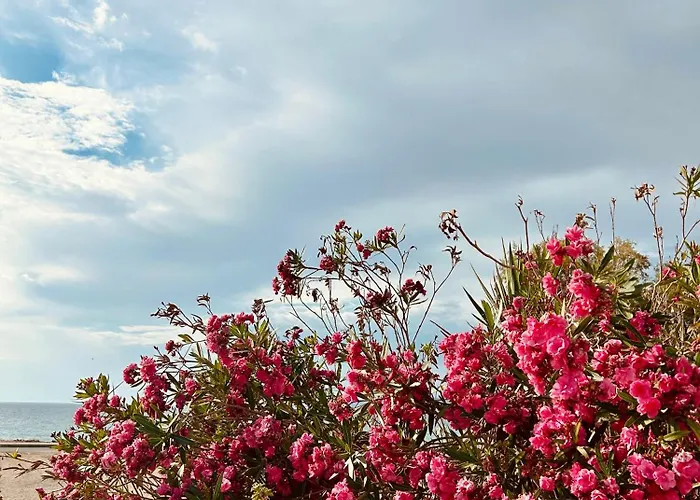 Marina's Seacret Corinth