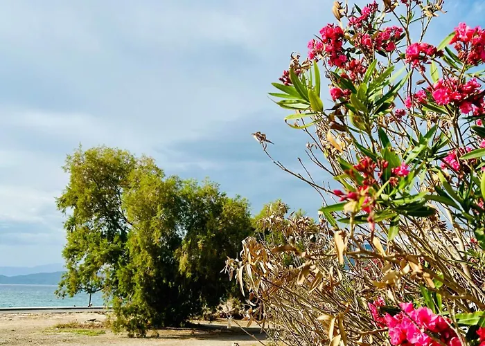 Marina's Seacret * Corinth